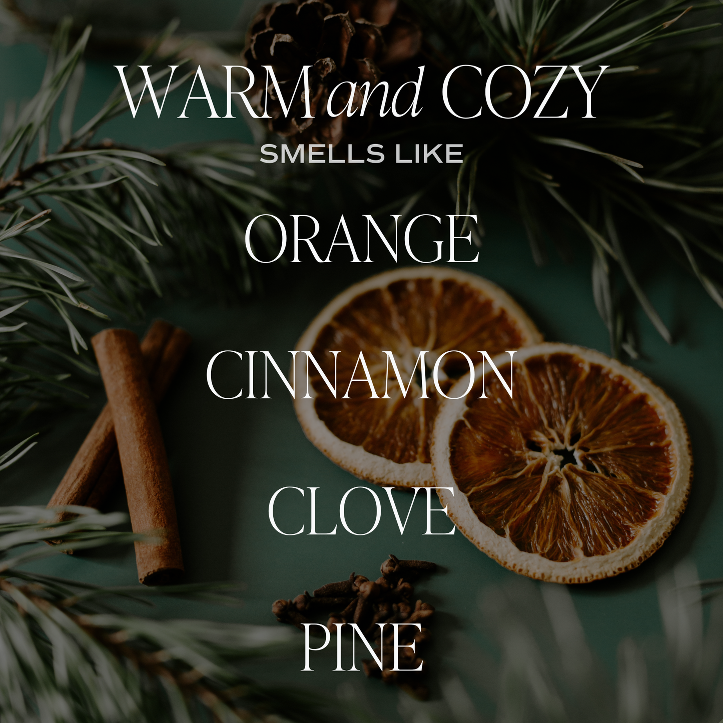 Warm and Cozy 12 oz Soy Candle