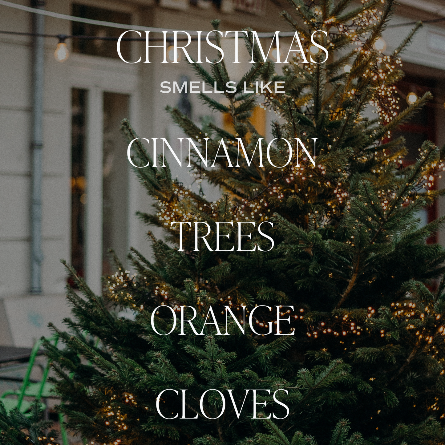 Christmas 12 oz Soy Candle