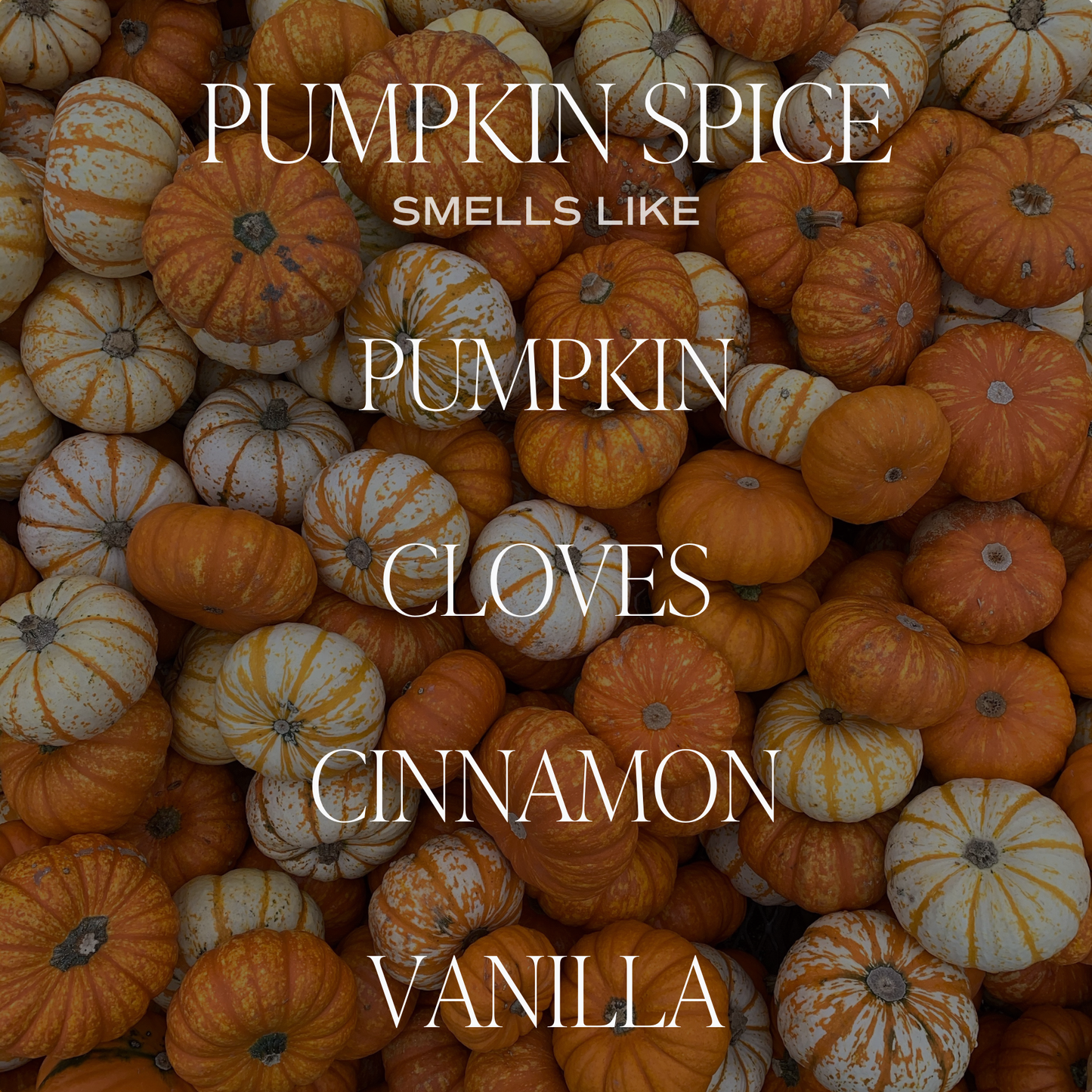 Pumpkin Spice 12 oz Soy Candle